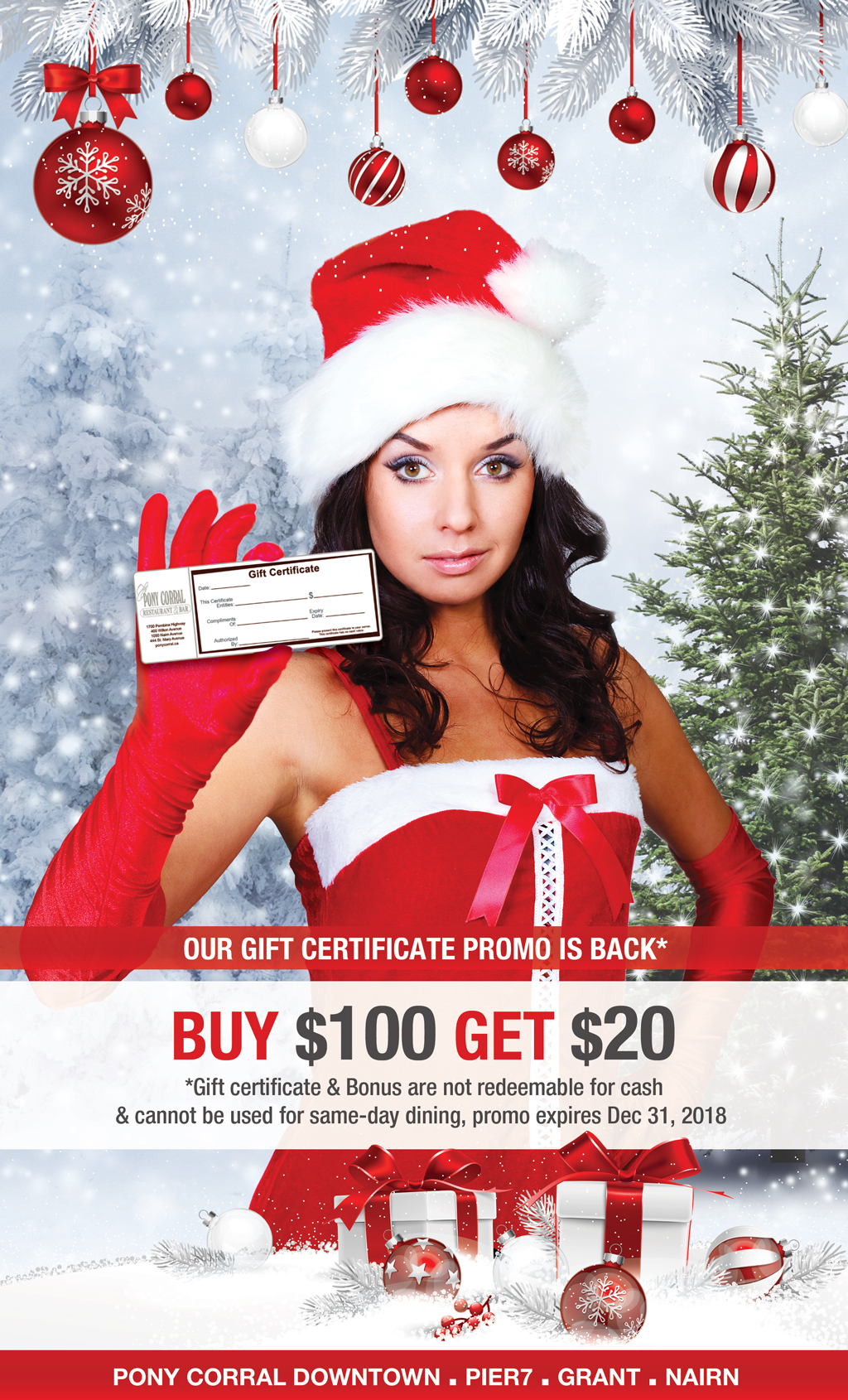 Holiday - Christmas - Gift Certificate - Gift Card